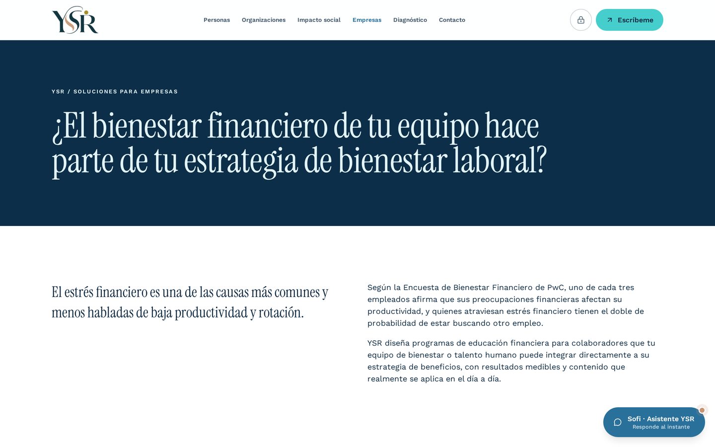 Sección de soluciones para empresas de la plataforma YSR