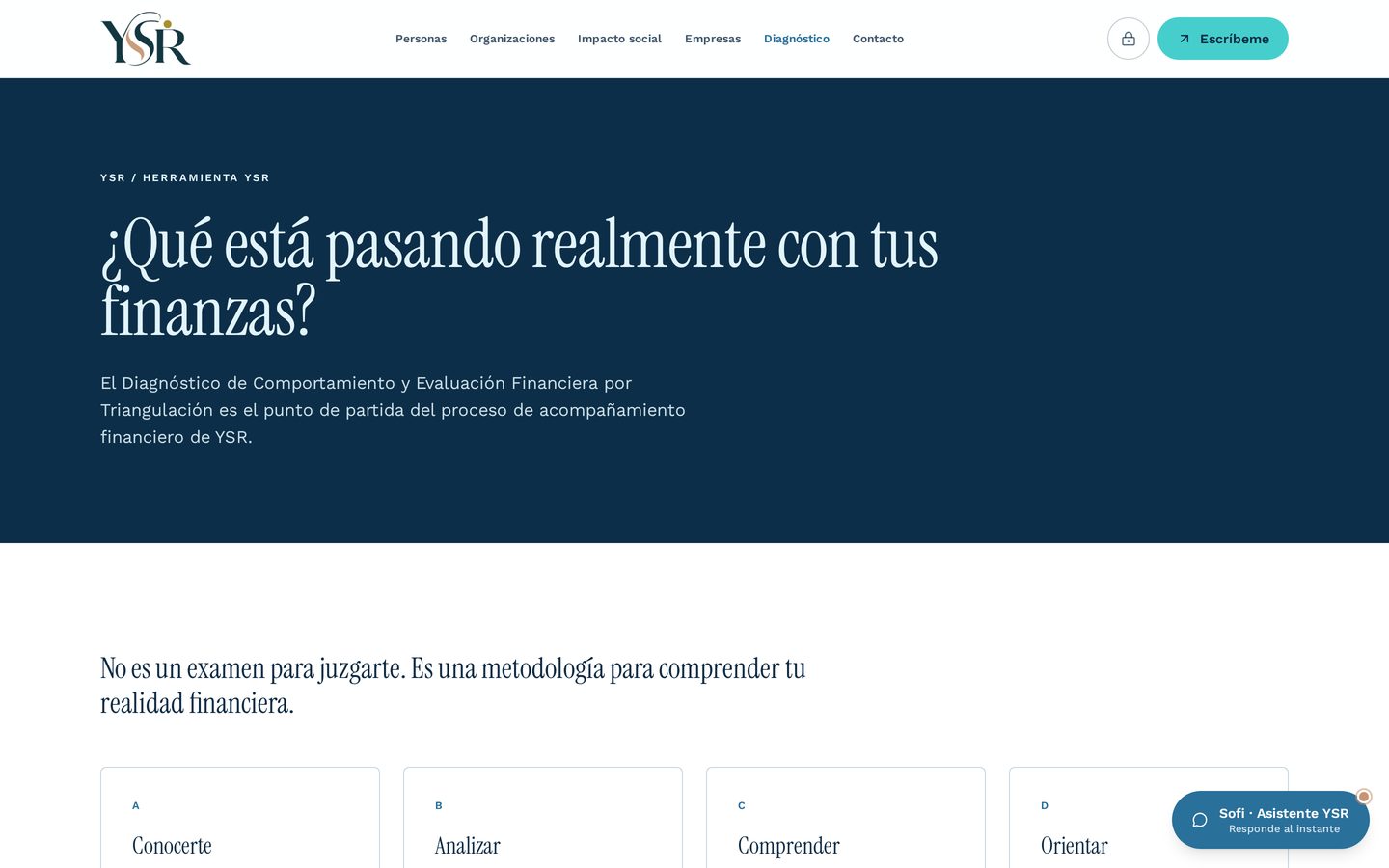 Módulo de diagnóstico financiero de la plataforma YSR