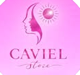 Logo de Caviel Store